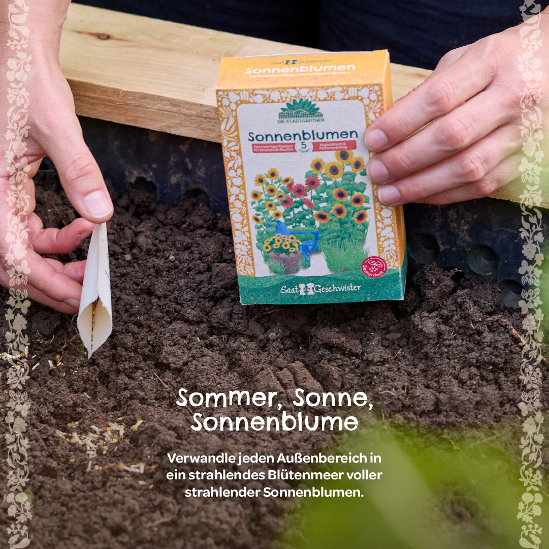 Saatgut-Set "Sonnenblumen" 