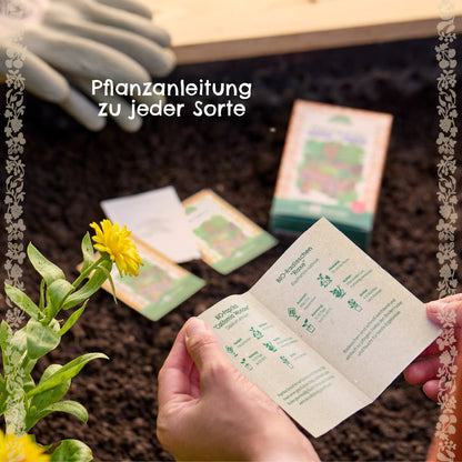 BIO-Saatgut-Set "Teekräuter" 