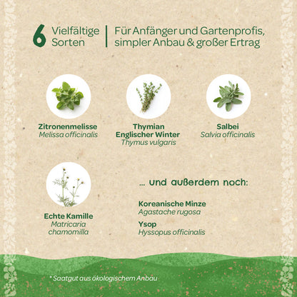 BIO-Saatgut-Set "Teekräuter" 