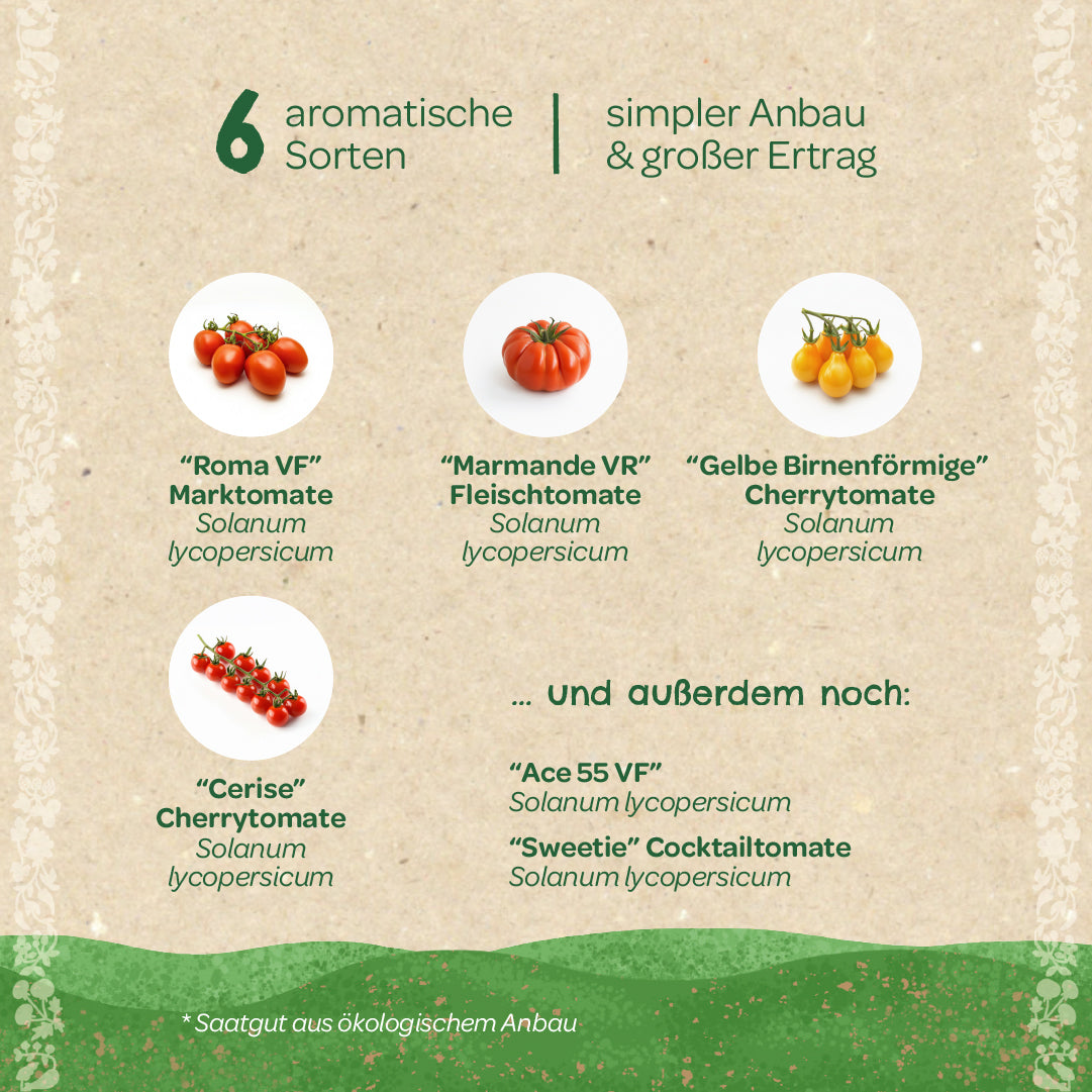 BIO-Saatgut-Set "Tomaten" 