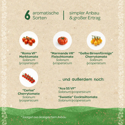 BIO-Saatgut-Set "Tomaten" 