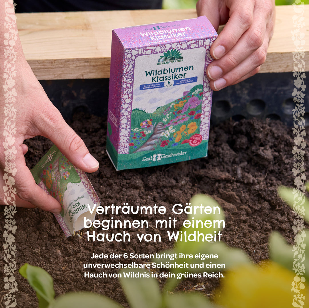 Saatgut-Set "Wildblumen" 