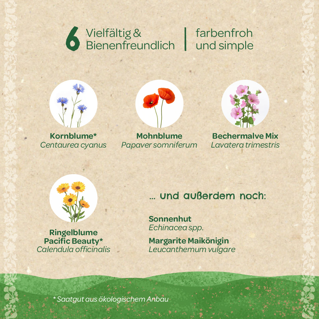 Saatgut-Set "Wildblumen" 