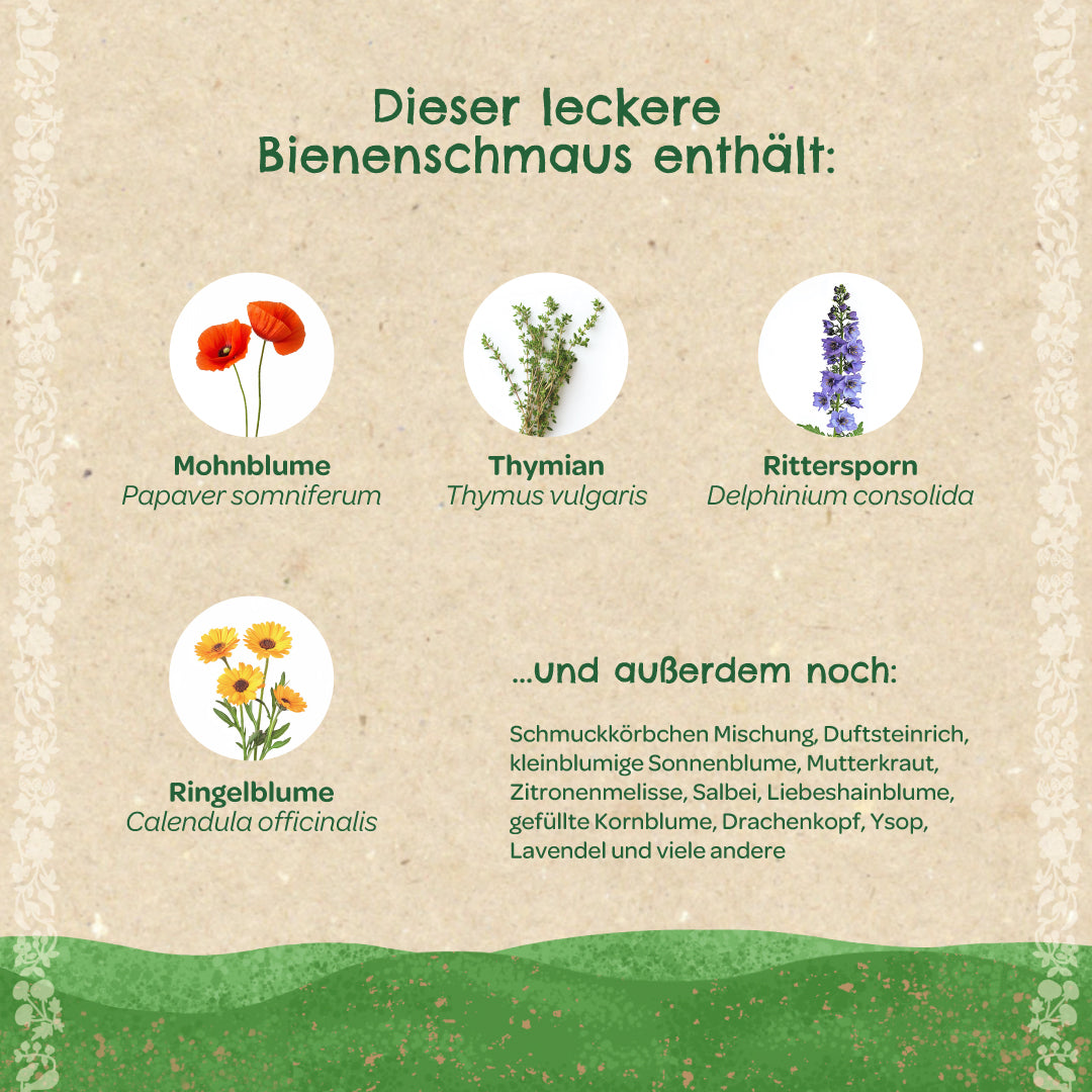 Saatkugeln "Bienenschmaus" 