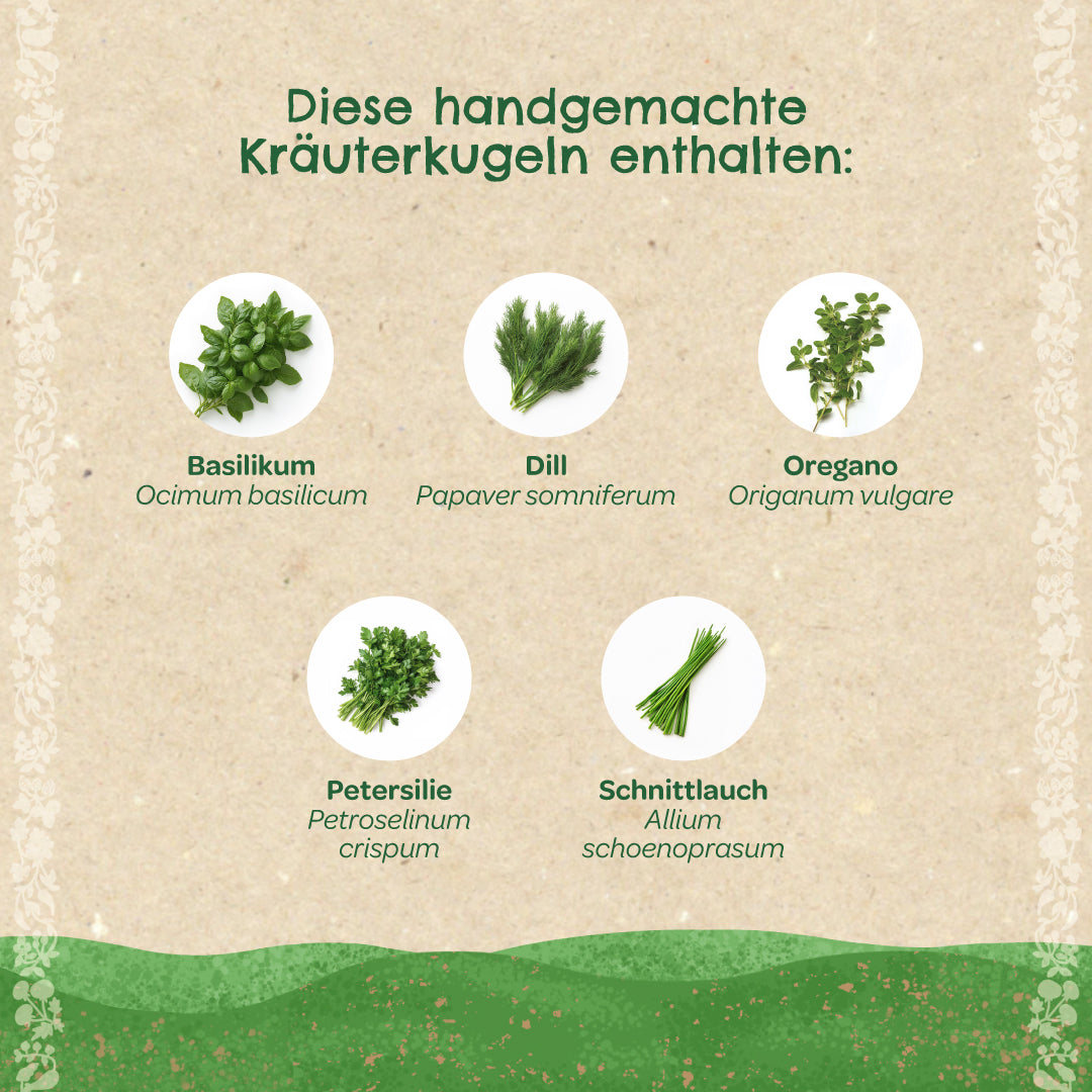 Kräuterkugeln – Saatkugeln mit Kräutern 