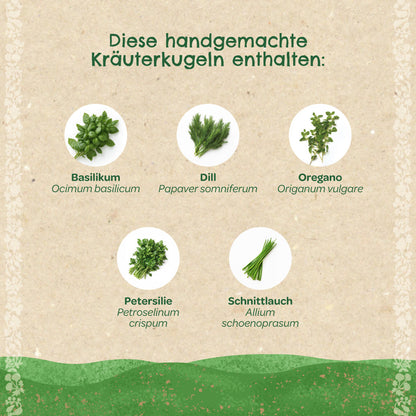 Kräuterkugeln – Saatkugeln mit Kräutern 
