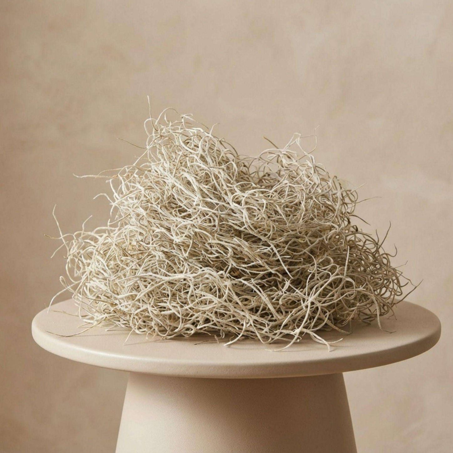 Getrocknetes Tillandsienmoos 1L – Spanisches Moos zur Dekoration – Natürliches Dekomaterial für Terrarium Floristik & Tischdeko – Grau-grünes Ziermoos