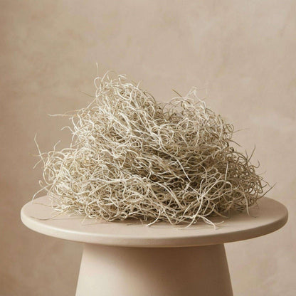 Getrocknetes Tillandsienmoos 1L – Spanisches Moos zur Dekoration – Natürliches Dekomaterial für Terrarium Floristik & Tischdeko – Grau-grünes Ziermoos