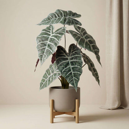 Alocasia Kunstpflanze Busch im Topf 40cm – Realistische Deko Pflanze für Wohnzimmer Büro & Regal – Pflegefreie Zimmerpflanze mit breiten Blättern