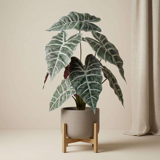 Alocasia Kunstpflanze Busch im Topf 40cm – Realistische Deko Pflanze für Wohnzimmer Büro & Regal – Pflegefreie Zimmerpflanze mit breiten Blättern