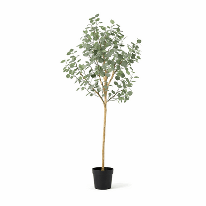 Eukalyptus Kunstpflanze 180cm – Großer Eucalyptus Baum Deko Pflanze – Pflegefreie Zimmerpflanze für Wohnzimmer Büro & Empfangsbereich