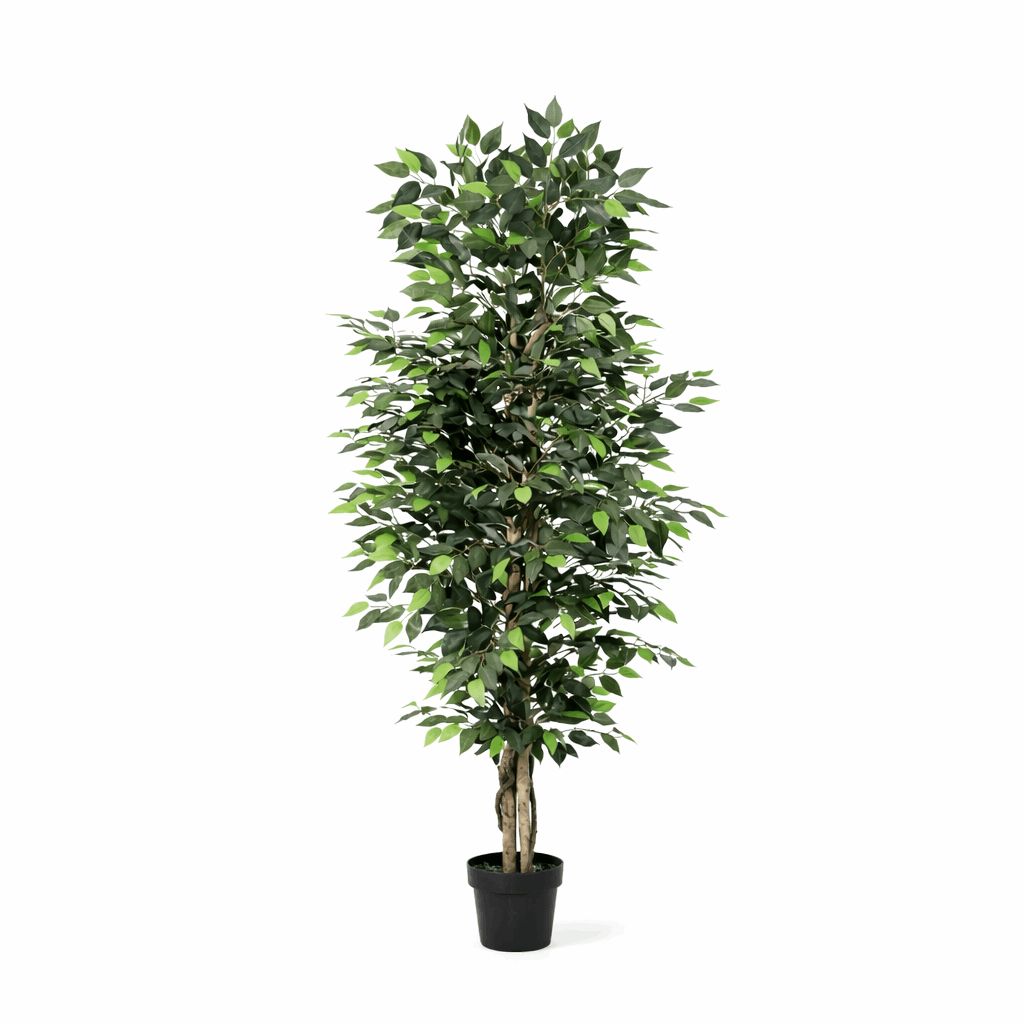 Ficus Benjamina Kunstpflanze 180cm – Große Birkenfeige Deko Pflanze – Pflegefreie Zimmerpflanze für Wohnzimmer Büro & Empfangsbereich