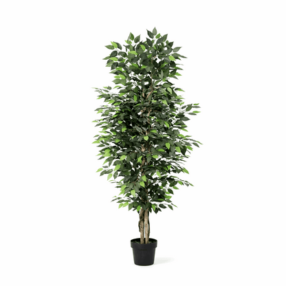 Ficus Benjamina Kunstpflanze 180cm – Große Birkenfeige Deko Pflanze – Pflegefreie Zimmerpflanze für Wohnzimmer Büro & Empfangsbereich