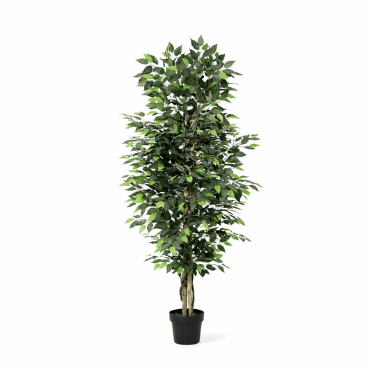 Ficus Benjamina Kunstpflanze 180cm – Große Birkenfeige Deko Pflanze – Pflegefreie Zimmerpflanze für Wohnzimmer Büro & Empfangsbereich