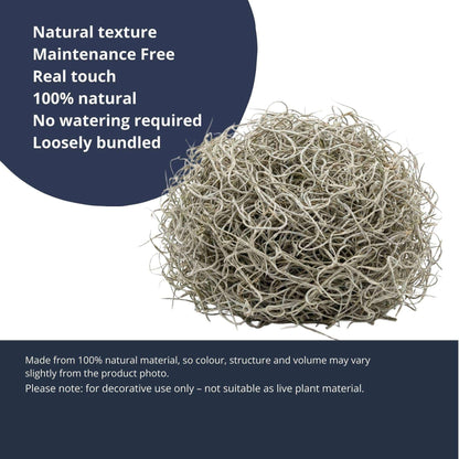 Getrocknetes Tillandsienmoos 1L – Spanisches Moos zur Dekoration – Natürliches Dekomaterial für Terrarium Floristik & Tischdeko – Grau-grünes Ziermoos