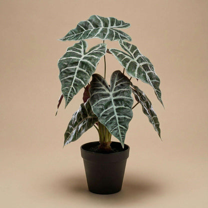 Alocasia Kunstpflanze Busch im Topf 40cm – Realistische Deko Pflanze für Wohnzimmer Büro & Regal – Pflegefreie Zimmerpflanze mit breiten Blättern