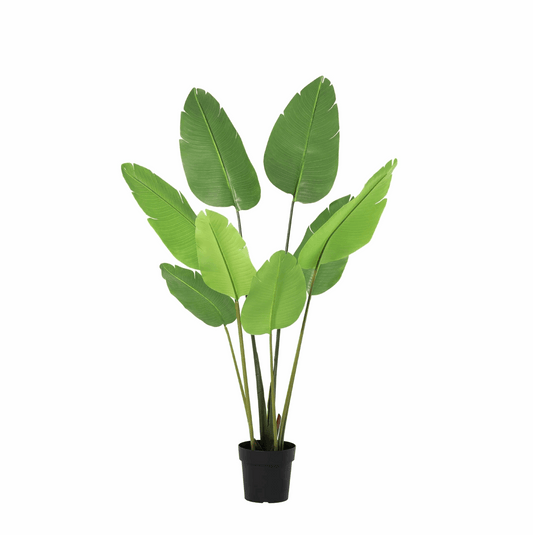 Strelitzia Nicolai Kunstpflanze 155cm – Paradiesvogelblume Deko Pflanze – Pflegefreie Zimmerpflanze für Wohnzimmer Büro & Empfangsbereich