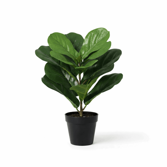 Ficus lyrata Kunstpflanze 40cm – Kompakte Geigenfeige Deko Pflanze – Pflegefreie Zimmerpflanze für Fensterbank Büro & Regal