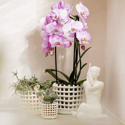 Mesh Ziertopf Ø9cm – Moderner Pflanztopf mit Strukturdesign – Dekorativer Übertopf für Zimmerpflanzen & Kräuter