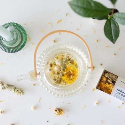 Teepause Geschenkset – Bio Gold Blend Tee & Baby-Teepflanze Camellia sinensis – Briefkastengeschenk – Nachhaltig & plastikfrei – Inkl. Pflegetipps – Für Teeliebhaber 