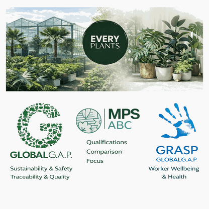 Ficus Lyrata Tree Kunstpflanze 180cm – Große Geigenfeige Deko Baum – Pflegefreie Zimmerpflanze für Wohnzimmer Büro & Empfangsbereich