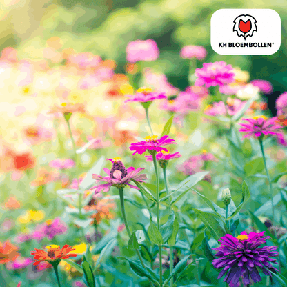 Wildblumensamen – 100g für 30–50m² – Bienen- & Schmetterlingsfreundlich – Einjährige & mehrjährige Blumen – Für Garten, Wiese, Beet – GVO-frei & nachhaltig 