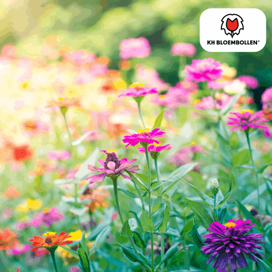 Wildblumensamen – 100g für 30–50m² – Bienen- & Schmetterlingsfreundlich – Einjährige & mehrjährige Blumen – Für Garten, Wiese, Beet – GVO-frei & nachhaltig 