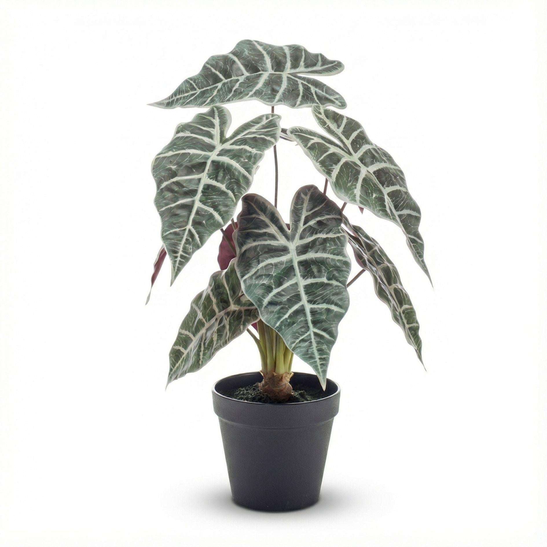 Alocasia Kunstpflanze Busch im Topf 40cm – Realistische Deko Pflanze für Wohnzimmer Büro & Regal – Pflegefreie Zimmerpflanze mit breiten Blättern