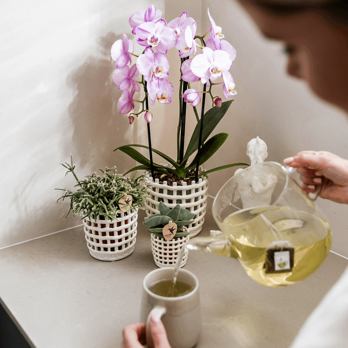 Mesh Ziertopf Ø6cm – Moderner Pflanztopf mit Strukturdesign – Dekorativer Übertopf für Mini Pflanzen & Sukkulenten