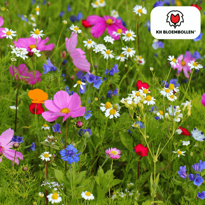 Wildblumensamen – 100g für 30–50m² – Bienen- & Schmetterlingsfreundlich – Einjährige & mehrjährige Blumen – Für Garten, Wiese, Beet – GVO-frei & nachhaltig 