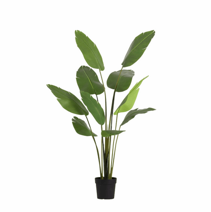 Strelitzia Nicolai Kunstpflanze 180cm – Große Paradiesvogelblume Deko Pflanze – Pflegefreie Zimmerpflanze für Wohnzimmer Büro & Empfangsbereich