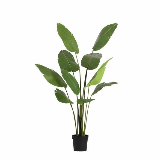 Strelitzia Nicolai Kunstpflanze 180cm – Große Paradiesvogelblume Deko Pflanze – Pflegefreie Zimmerpflanze für Wohnzimmer Büro & Empfangsbereich