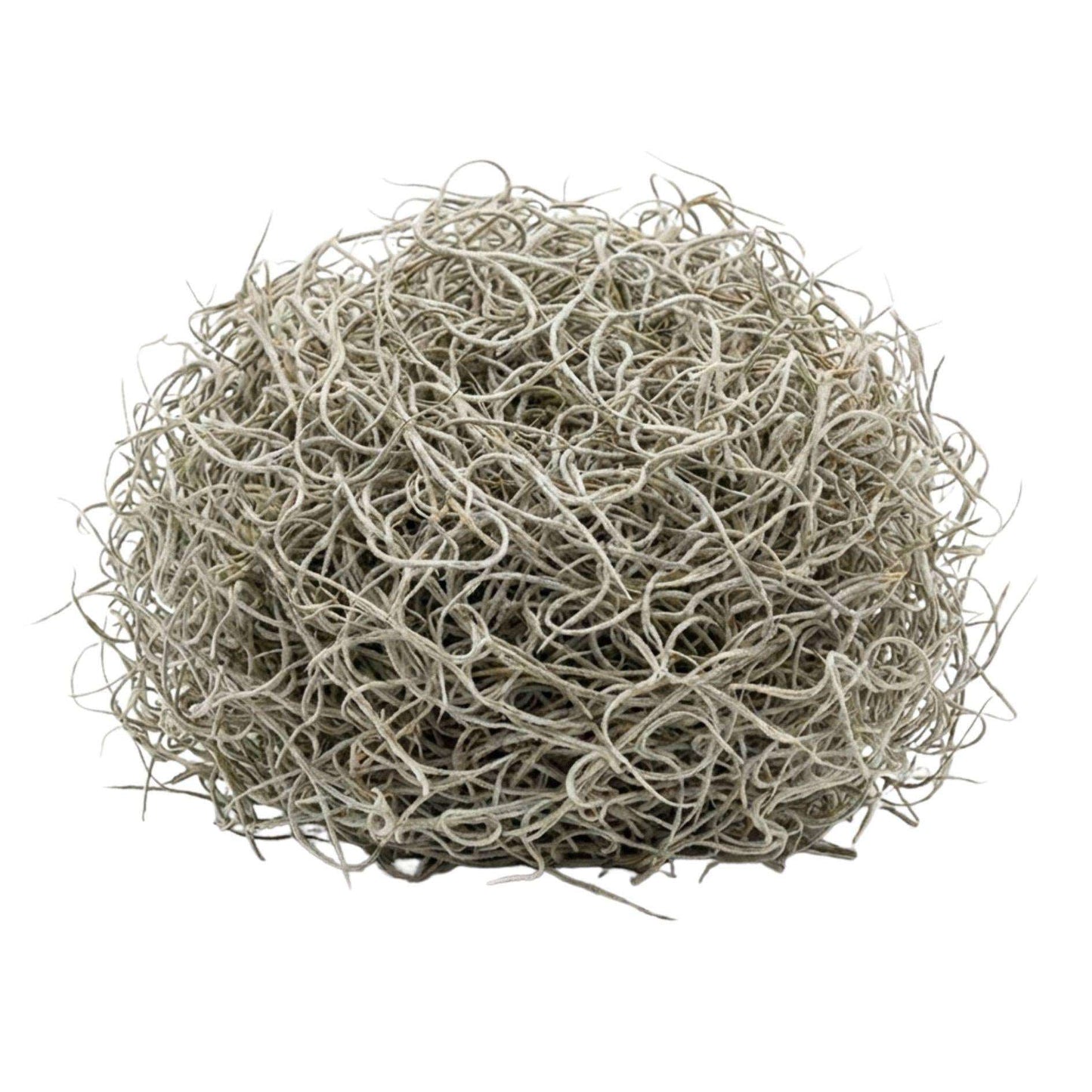 Getrocknetes Tillandsienmoos 1L – Spanisches Moos zur Dekoration – Natürliches Dekomaterial für Terrarium Floristik & Tischdeko – Grau-grünes Ziermoos