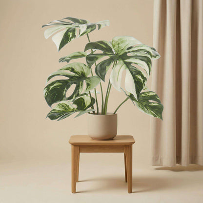 Monstera Kunstpflanze Busch im Topf 40cm – Dekorative Fensterblatt Kunstpflanze – Pflegefreie Zimmerpflanze für Wohnzimmer Büro & Fensterbank
