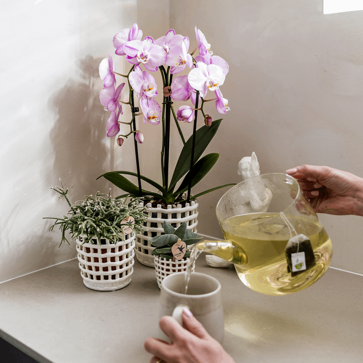 Mesh Ziertopf Ø9cm – Moderner Pflanztopf mit Strukturdesign – Dekorativer Übertopf für Zimmerpflanzen & Kräuter