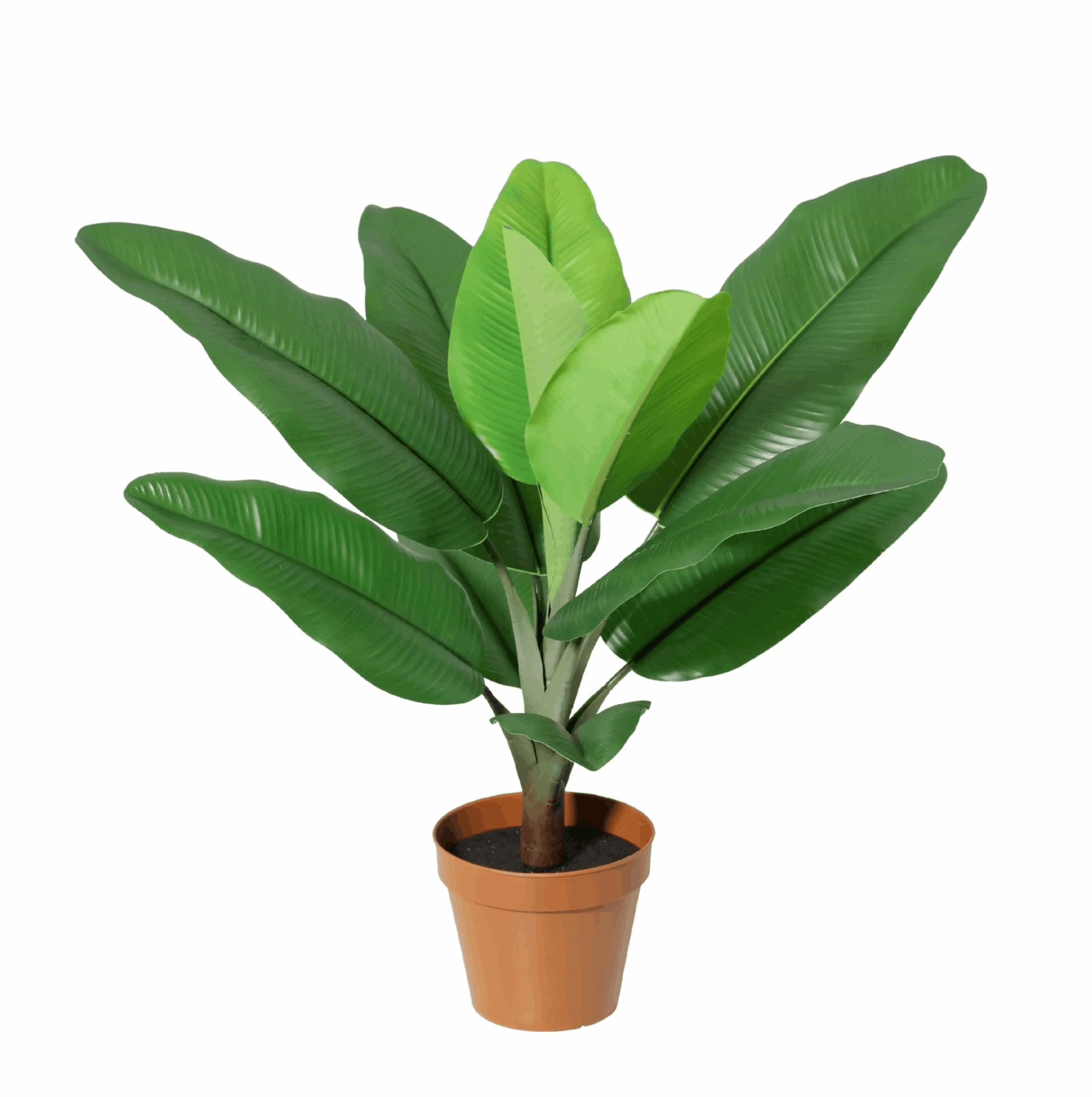 Philodendron Jungle King Kunstpflanze 45cm – Tropische Deko Pflanze – Pflegefreie Zimmerpflanze für Wohnzimmer Büro & Fensterbank