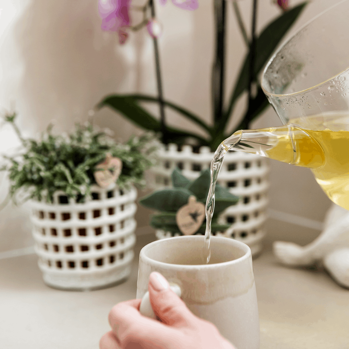 Mesh Ziertopf Ø9cm – Moderner Pflanztopf mit Strukturdesign – Dekorativer Übertopf für Zimmerpflanzen & Kräuter