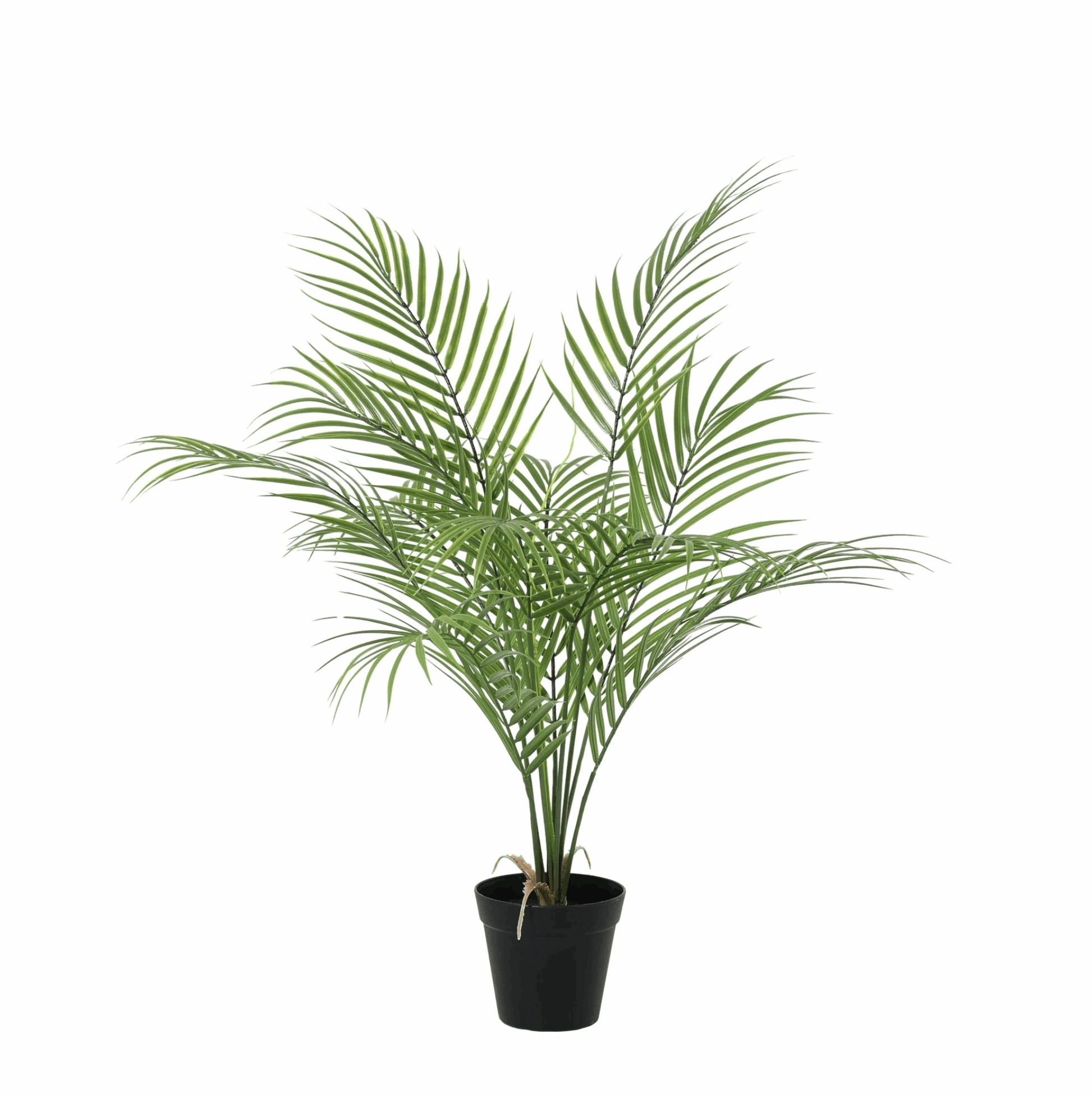 Kentia Palme Kunstpflanze 65cm – Dekorative Kunstpalme Zimmerpflanze – Pflegefreie Deko Pflanze für Wohnzimmer Büro & Regal