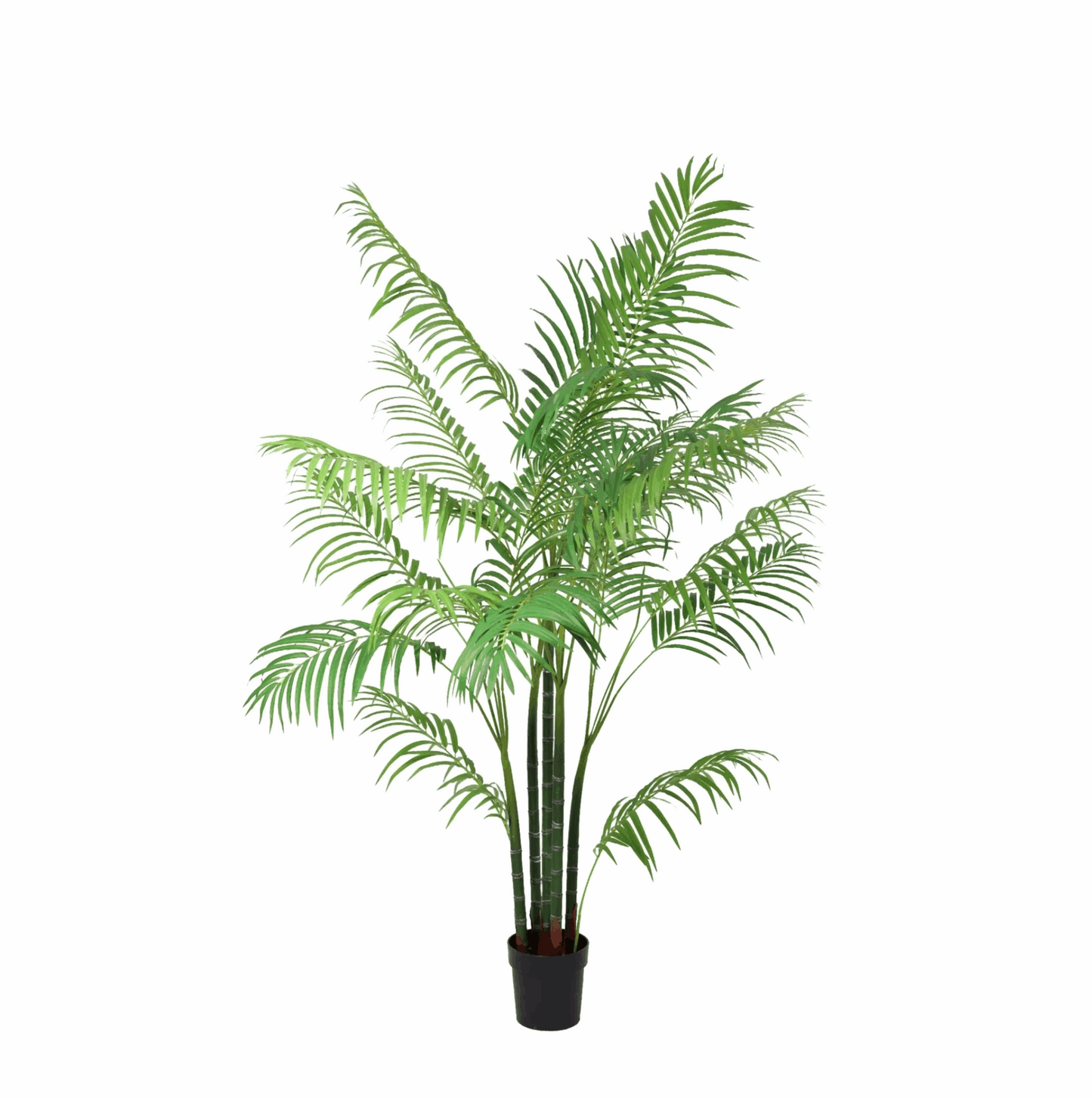 Areca Palme Kunstpflanze 190cm – Große Goldfruchtpalme Deko Pflanze – Pflegefreie Kunstpalme für Wohnzimmer Büro & Empfangsbereich
