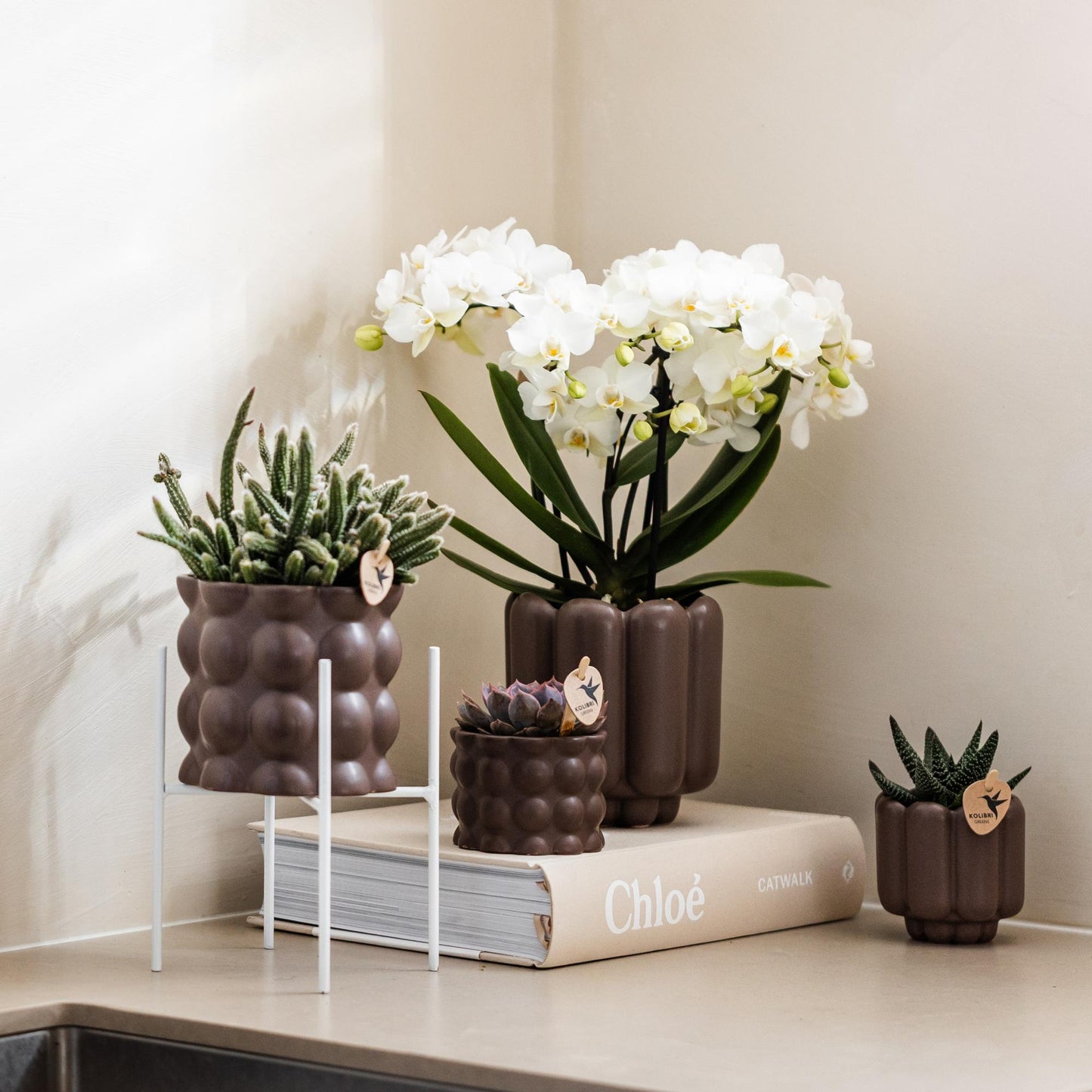 Kolibri Home | Pflanzenständer - Weißer Metall-Pflanzenständer Ø12cm 