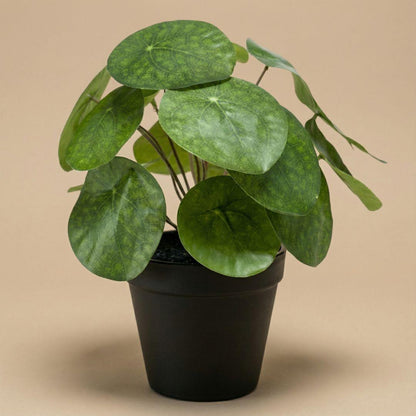 Pilea Kunstpflanze Busch – ca.25cm – Im schwarzen Topf – Realistische künstliche Zimmerpflanze – Pflegefreie Deko für Fensterbank Regal & Büro
