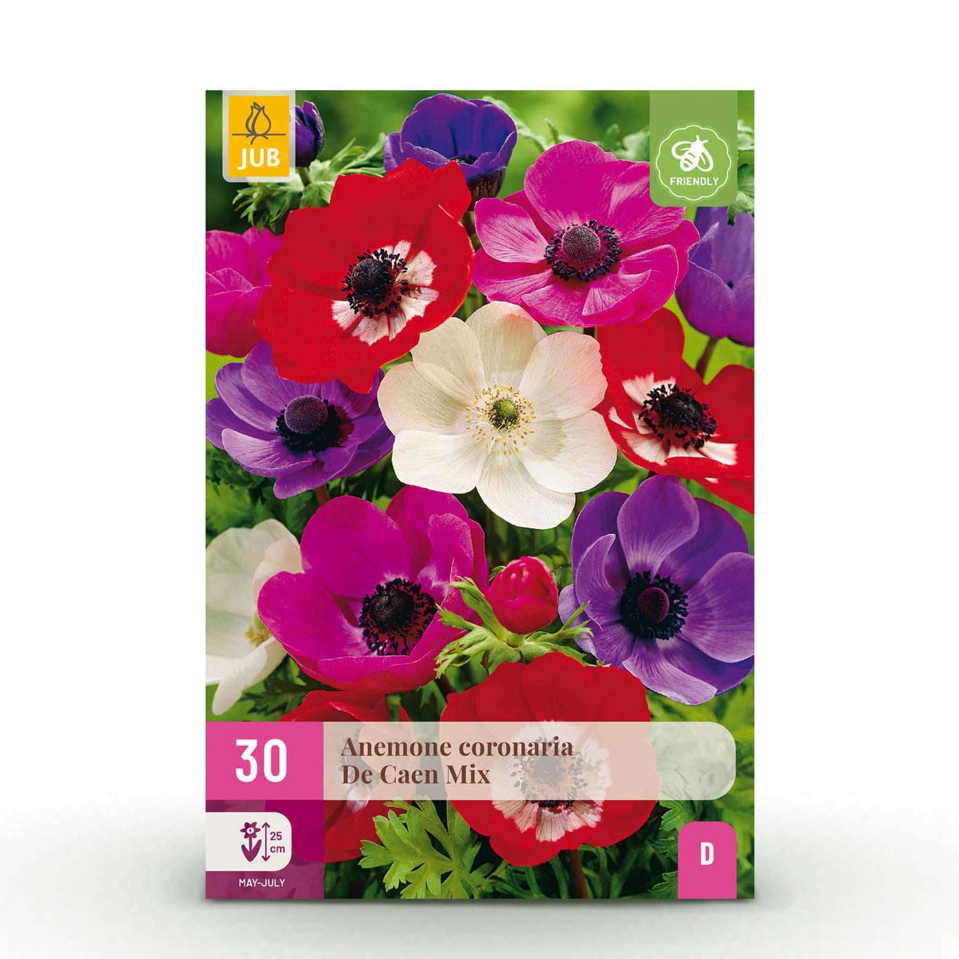 GreenboutiQ - Blumenzwiebeln - Anemone de Caen Mix - Verschiedene Farben - 30 Stück - Zwiebelgröße 5/6 - XXL Pack 
