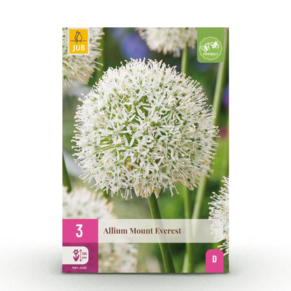 GreenboutiQ - Blumenzwiebeln - Allium Mount Everest - Farbe Weiß - 3 Stück - Zwiebelgröße 16/18 - XXL Pack 