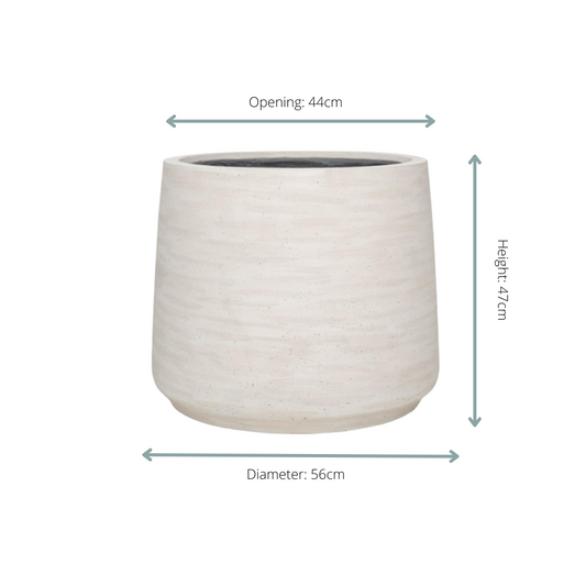 Jumbo Patt Ivory Washed - D56xH47 