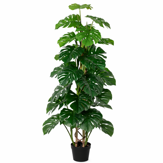 ARTIFICIAL Monstera Monkey Leaf - 125cm 
