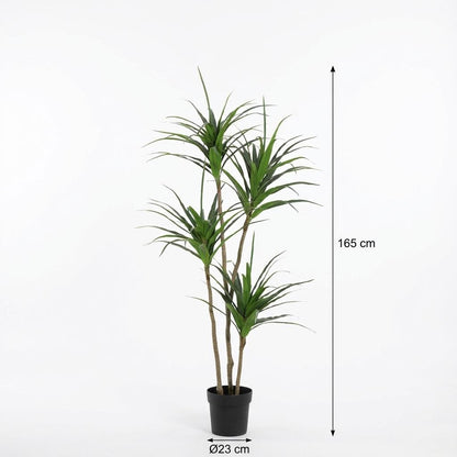 Dracaena Kunstpflanze 165cm – Große Drachenbaum Deko Pflanze – Pflegefreie Zimmerpflanze für Wohnzimmer Büro & Empfangsbereich