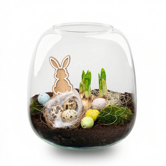 Emma Mini Oster - Offenes Terrarium - Flaschengarten DIY Kit - Ø 19 cm ↑ 20 cm 