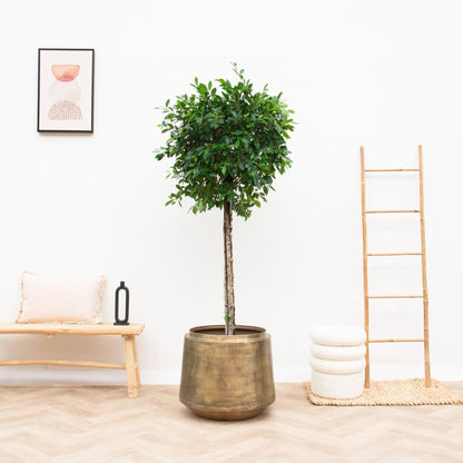 Pflanztopf Indigo – Vintage Gold – Ø46 cm x H41 cm – Dekorativer Metalltopf mit Antik-Finish – Indoor-Blumentopf mit Wasserablauf – Luxuriöser Übertopf für Wohnzimmer & Büro 