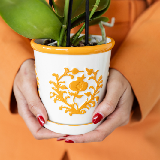Pflanzenset mit 2 orangefarbenen Phalaenopsis-Orchideen und Sukkulente inkl. Keramik-Übertöpfen
