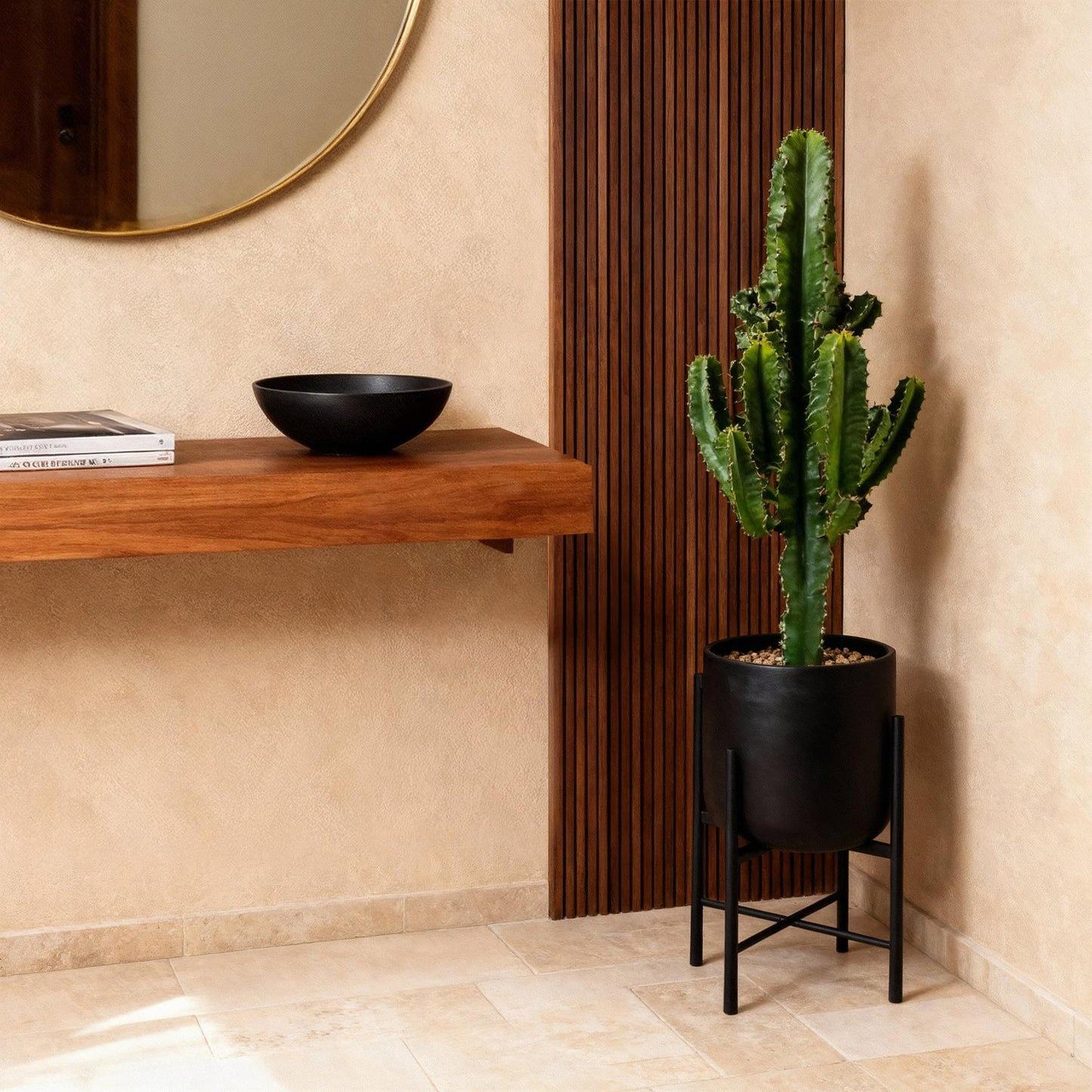 Green boutiQ - Zimmerpflanze - Euphorbia eritrea - Afrikanischer Milchbaum - Geringer Pflegeaufwand - Grün - 1 - Topf 17cm - Höhe 60cm 